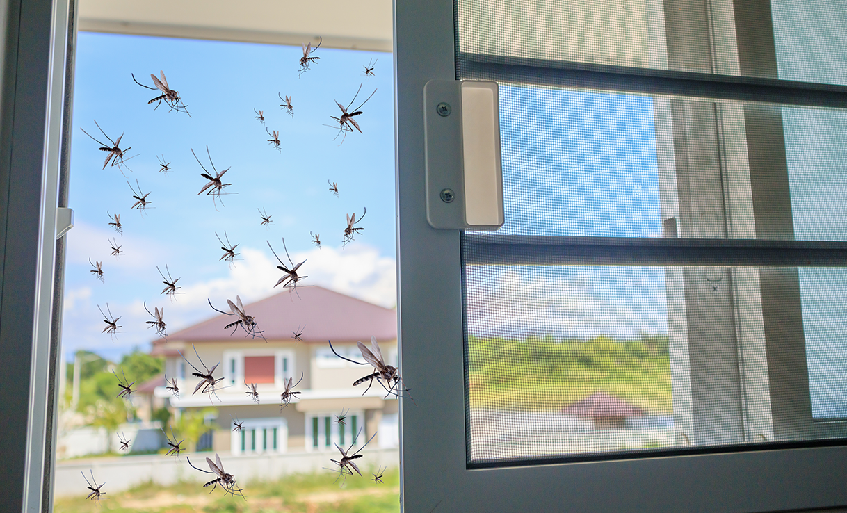 Read more about the article Condomínios e os cuidados com a dengue
